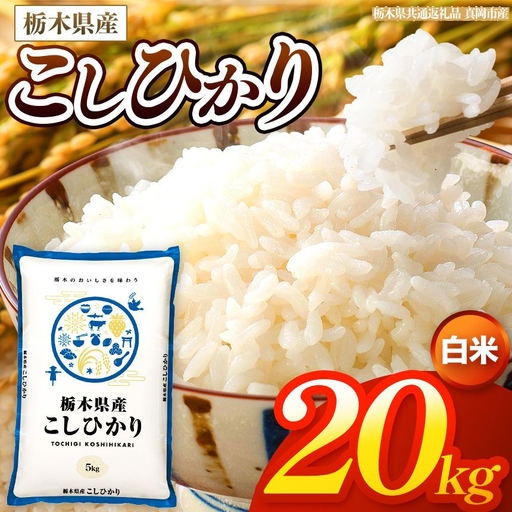 【令和8年産 新米】 栃木県産 お米 こしひかり　（白米） 20kg 【2026年秋以降発送 】 |  栃木県 矢板市 【栃木県共通返礼品 真岡市産】