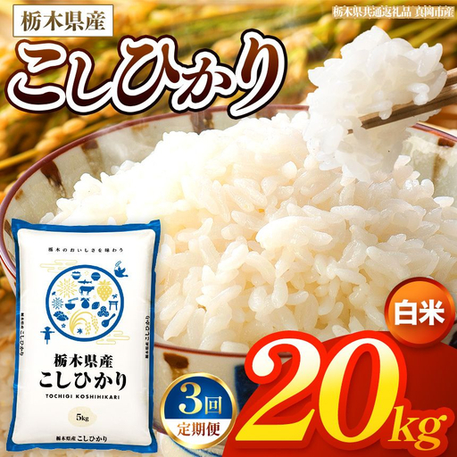 【令和8年産 新米】 【定期便3回】栃木県産 お米 こしひかり　（白米） 20kg 【2026年秋以降発送 】 |  栃木県 矢板市 【栃木県共通返礼品 真岡市産】