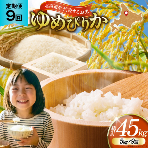 米 優良金賞 ゆめぴりか 5kg 9回 定期便 総計45kg