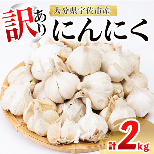  ＜先行予約受付中！6月中旬以降順次発送予定＞＜訳あり＞ニンニク (計2kg)にんにく 野菜 ガーリック【118500400】【両院農産】