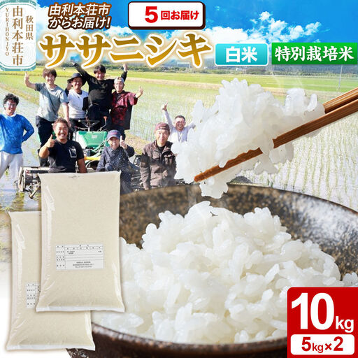 《定期便5ヶ月》令和7年産【白米】特別栽培米 ササニシキ 10kg（5kg×2袋） 秋田県産