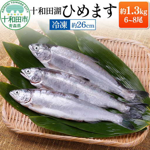 十和田湖ひめます（約26cm）6～8尾 約1.3kg 紅鮭 冷凍 