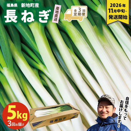 [先行予約][全3回定期便]長ネギ 約5kg 1箱 | 訳あり 野菜 やさい 食品 人気 おすすめ 送料無料 ねぎ ネギ 葱 長ねぎ お取り寄せ 福島県 新地町 白ねぎ 鍋 冷凍保存 おかず お徳用 甘い おすそわけ 家庭用 贈答用