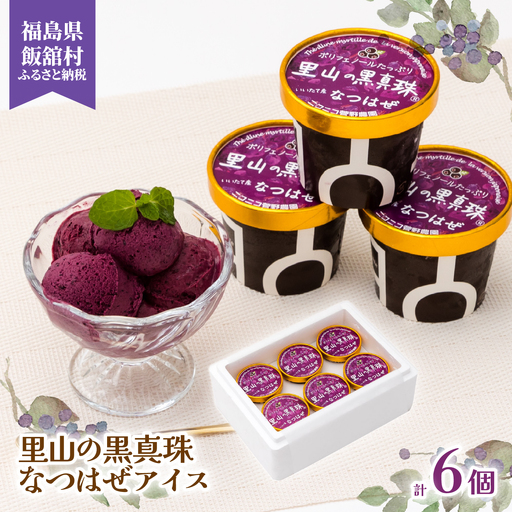 里山の黒真珠 なつはぜアイス ITTAA002