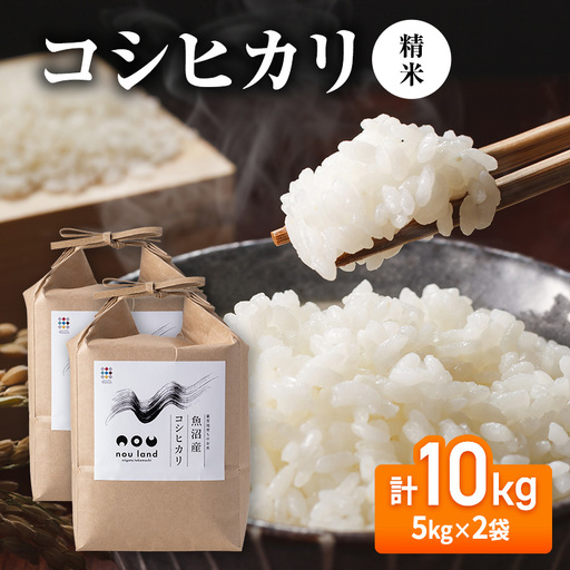 【先行予約】令和8年産 コシヒカリ精米5kg×2袋