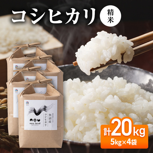 【先行予約】令和8年産 コシヒカリ精米5kg×4袋