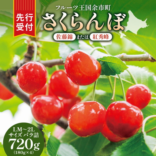 【7月9日まで受付延長！】令和8年産 さくらんぼ【LM～2Lバラ詰め】180g×4【余市ふるさと納税推進センター】_Y160-0001