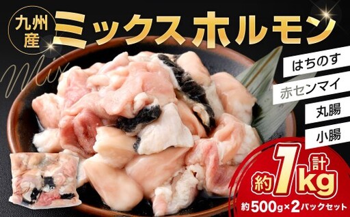 ミックスホルモン 約1.0kg（約500g×2パック）ホルモン 九州産 ミックス 丸腸 赤センマイ はちのす 小腸 冷凍 福岡県 北九州市 DX