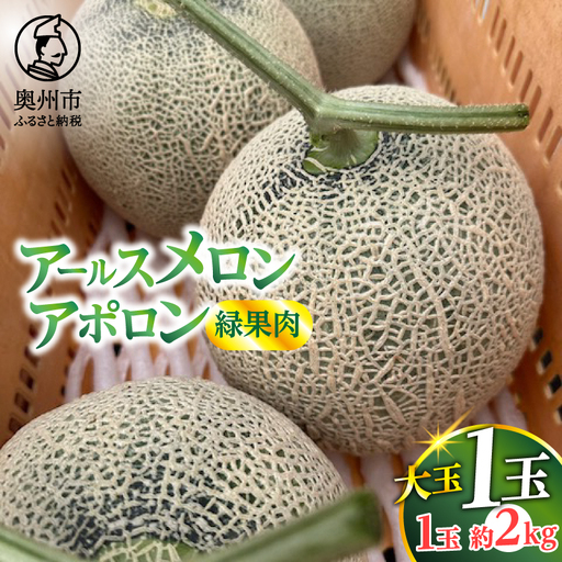 アールスメロン アポロン(緑果肉) 大玉1個 【数量限定】[CL003]