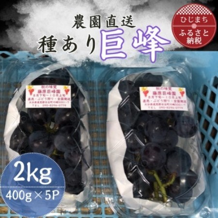 巨峰(種あり)5パック【配送不可地域：離島】【1731657】