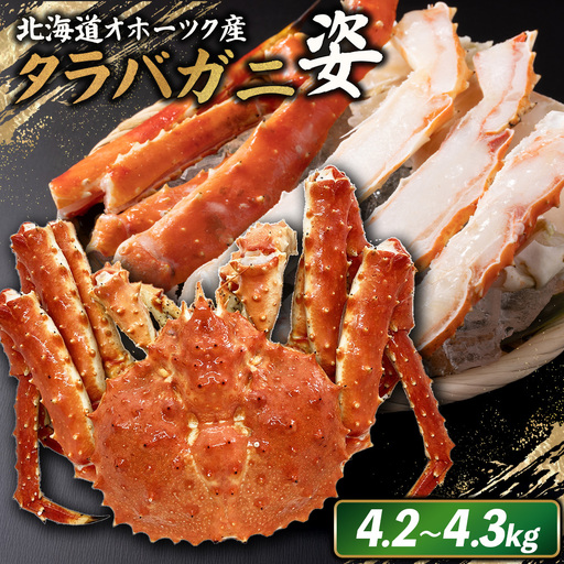 北海道オホーツク産 冷タラバガニ姿　4.2～4.3kg【1241501】