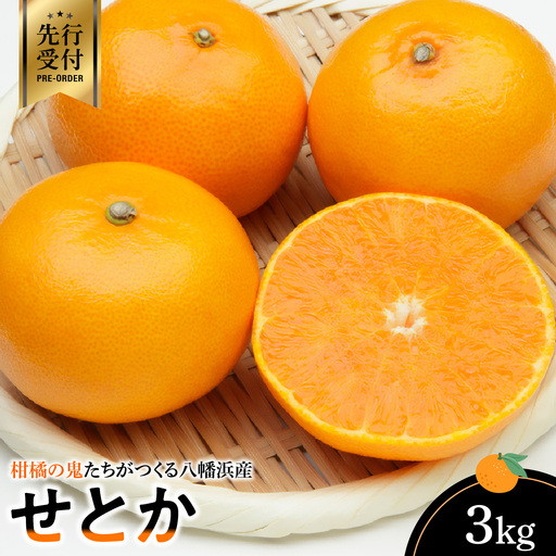 【先行受付】柑橘の鬼たちがつくる八幡浜産・せとか3kg 【E56-20】【1270402】 YWTAS014