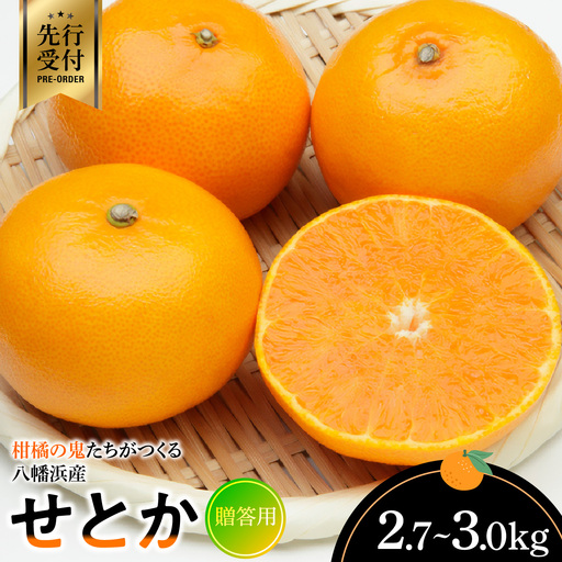 【先行受付】柑橘の鬼たちがつくる八幡浜産・せとか(2.7kg～3.0kg)[贈答用]【D56-21】【1283618】 YWTAS015