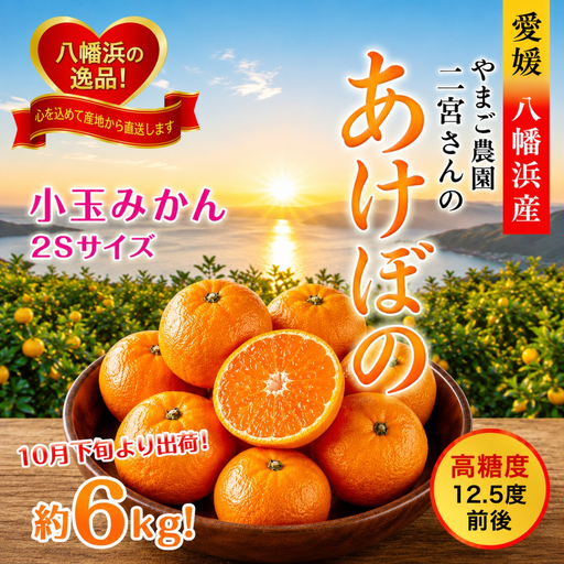 【先行受付】濃厚な味わい!やまご農園の「あけぼの小玉」約6kg【C39-21】【配送不可地域：離島・北海道・沖縄県】【1148837】 YWTF010