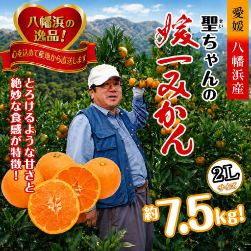 【先行受付】「日の丸みかん」と同産地!!聖ちゃんの「媛一みかん」2Lサイズ  約7.5kg【C39-14】【配送不可地域：離島】【1491362】 YWTF006