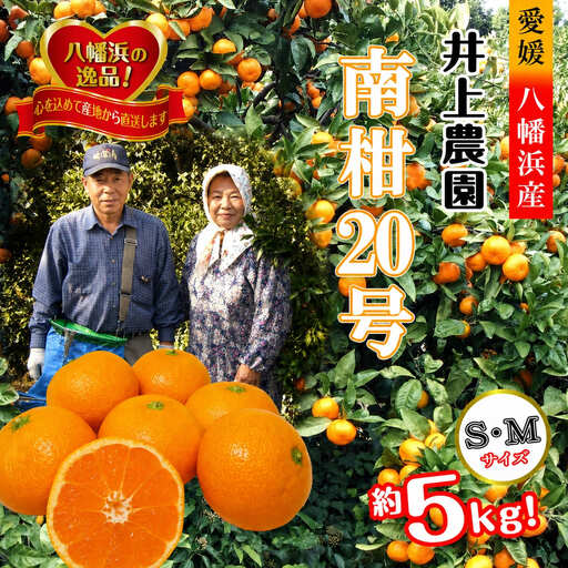 【先行受付】M、Sサイズでお届け・濃厚な味わい! 井上農園「南柑20号」約5kg 【C39-12】【1245424】 YWTF005
