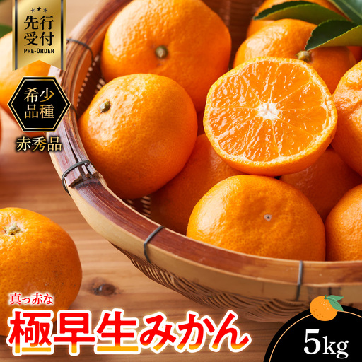 [先行受付]希少品種(赤秀品)真っ赤な 極早生 みかん 5kg[C56-32][1340710] YW