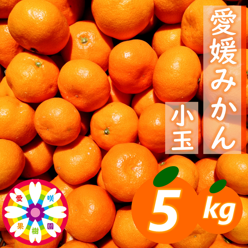【先行受付】「 愛媛 みかん 」 小玉 約5kg《 愛咲果樹園 》【C71-6】【1331484】 YWTS006