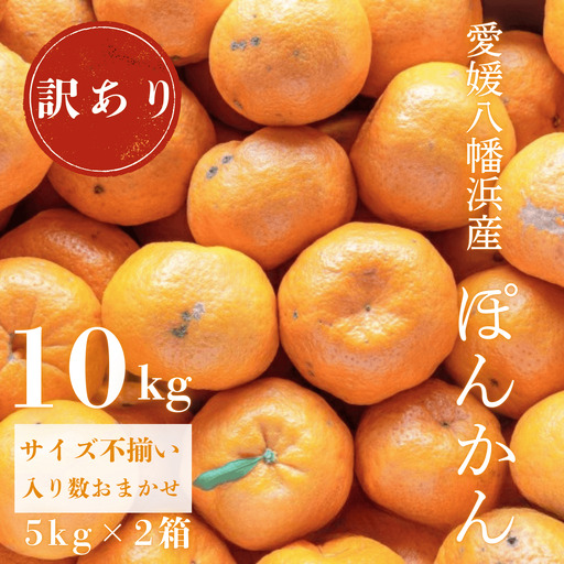 【先行受付】【南国を感じさせる独特の香り】訳あり 愛媛ポンカン 10kg【C20-13】【1094582】 YWTI011