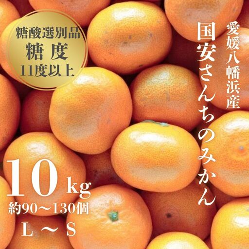 【先行受付】【糖度11度以上 酸1.0以下 糖酸選別品】愛媛みかん 10kg【D20-3】【1094602】 YWTI003