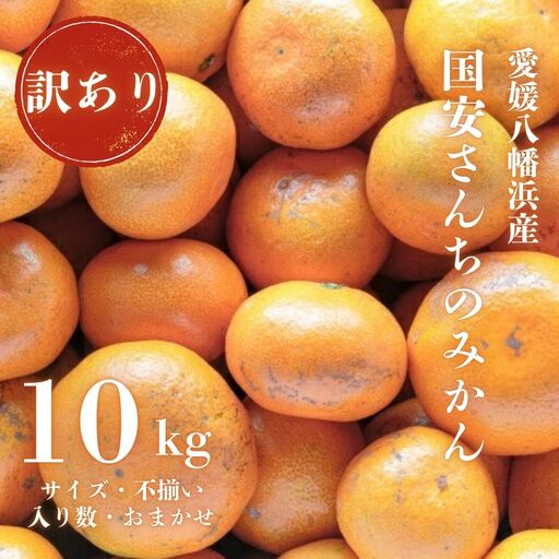 【先行受付】【創業85年 親子4代 愛媛みかん 一筋】訳あり 愛媛みかん 10kg【C20-12】【1094603】 YWTI010