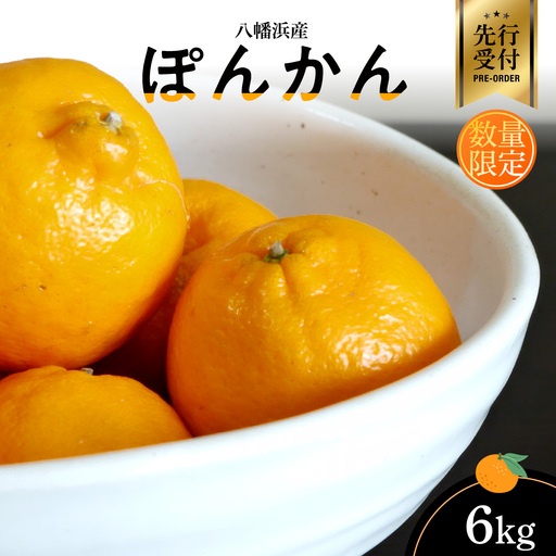 【先行受付】八幡浜産・ぽんかん6kg[数量限定!]【C56-11】【1138963】 YWTAS006