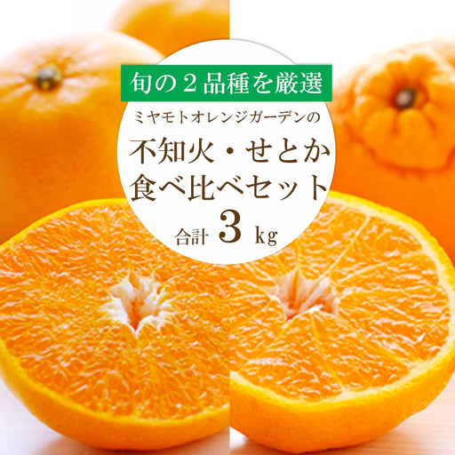 [先行受付]愛媛の人気2品種をセットに!せとか・不知火 食べ比べ 合計3kg[訳あり][G25-141][配送不可地域:離島][1283421] YW