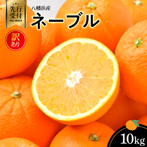 【先行受付】八幡浜産・ネーブル10kg【訳あり】【D56-44】【配送不可地域：離島】【1479309】 YWTAS034