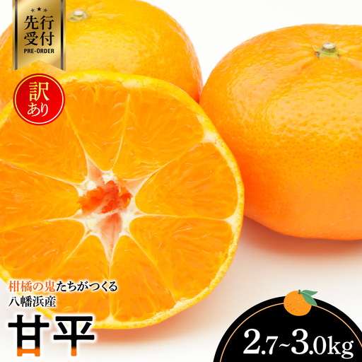 【先行受付】柑橘の鬼たちがつくる八幡浜産・甘平(2.7kg～3.0kg)【訳あり】【D56-49】【配送不可地域：離島】【1486185】 YWTAS039