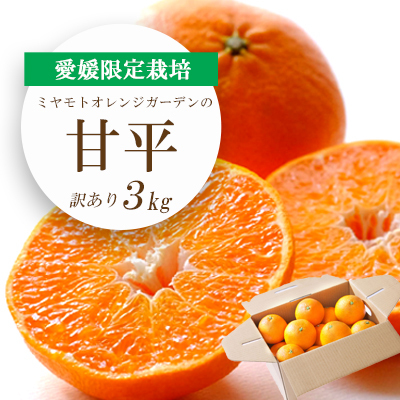【先行受付】愛媛限定栽培柑橘 甘平(かんぺい)3kg【訳あり】【E25-137】【1138005】 YWTAP080