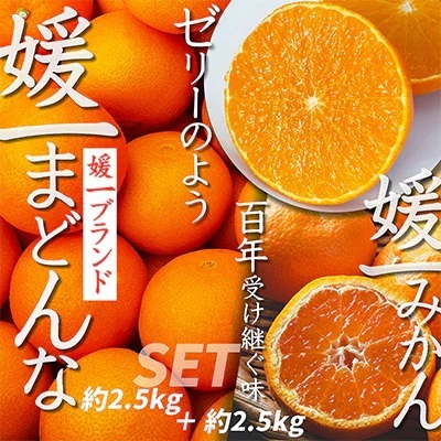 【先行受付】「媛一みかん」と「媛一まどんな」の2品種・約5kg【C28-29】【1119673】 YWTN021