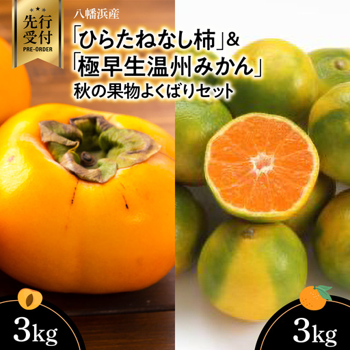 【先行受付】八幡浜産「ひらたねなし柿3kg」「極早生温州みかん3kg」秋の果物よくばりセット【C56-52】【配送不可地域：離島・北海道・沖縄県】【1507510】 YWTAS042