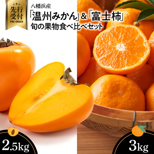 【先行受付】八幡浜産「富士柿2.5kg」「温州みかん3kg」旬の果物食べ比べセット【C56-51】【配送不可地域：離島・北海道・沖縄県】【1507521】 YWTAS041