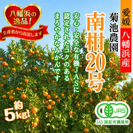 [先行受付][JAS認証有機栽培]濃厚な味わいの温州みかん!!菊池農園「南柑20号」5kg[C39-23][1044610]
