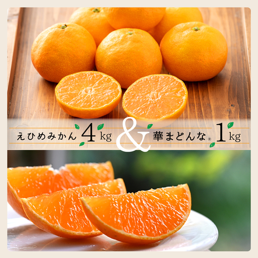 【先行受付】コウ果樹園の「えひめみかん4kg・華まどんな1kg 詰め合せ」【D33-12】【1123769】 YWTG006