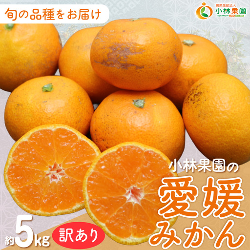 【先行受付】小林果園の愛媛みかん(約5kg)【訳あり】【C24-15】【1124421】 YWTAD008