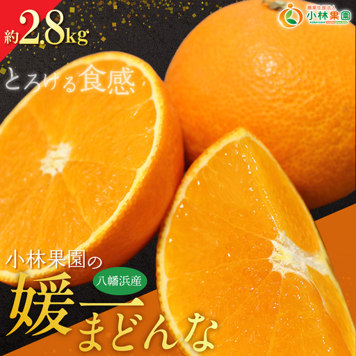 【先行受付】小林果園の媛一まどんな(約2.8kg)【C24-16】【1124422】 YWTAD009