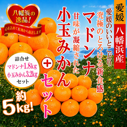 [先行受付]ぷるぷる新食感!「マドンナ」+濃厚!「小玉みかん」約5kg[D39-32][1252242]