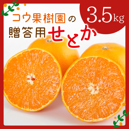 [先行受付]コウ果樹園の贈答用[せとか]3.5kg(バラ詰め)[D33-34][1457340]
