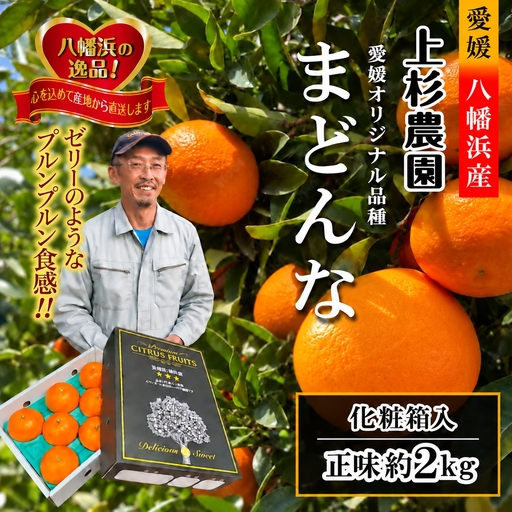 【先行受付】ギフト対応化粧箱入・上杉農園のぷるぷる新食感!「マドンナ」約2kg【C39-50】【1450439】 YWTF025