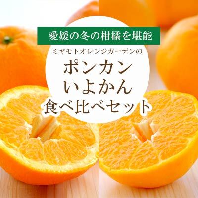 【先行受付】愛媛の柑橘詰め合わせ ポンカン2.5kg・いよかん2kg食べ比べセット【訳あり】【D25-96】【1356827】 YWTAP047