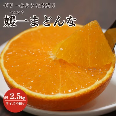 【先行受付】ゼリーのような食感!「媛一まどんな」約2.5kg入【C28-42】【1437098】 YWTN029