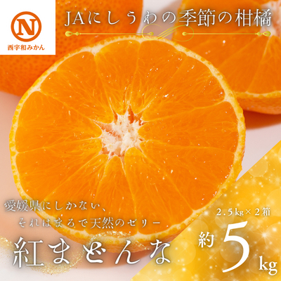 【先行受付】JAにしうわの季節の柑橘(紅まどんな 約2.5kg×2箱)【H08-50】 YWTV021