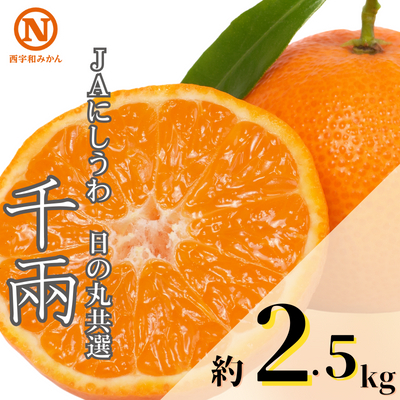 [先行受付]JAにしうわの季節の柑橘(日の丸共選 「千兩」 約2.5kg)[C08-77]