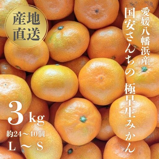 【先行受付】【創業85年 親子4代 愛媛みかん 一筋】愛媛八幡浜産 極早生みかん 3kg【C20-42】【1594905】 YWTI037