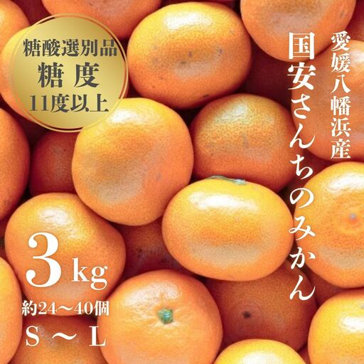 【先行受付】【糖度11度以上 酸1.0以下 糖酸選別品】愛媛みかん 3kg【C20-48】【1594922】 YWTI043