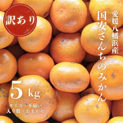 【先行受付】【創業85年 親子4代 愛媛みかん 一筋】訳あり 愛媛みかん 5kg【C20-51】【1595879】 YWTI046