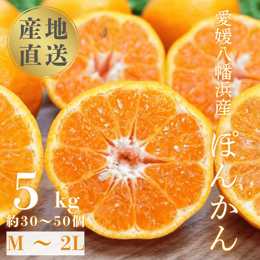 【先行受付】【南国を感じさせる独特の香り】愛媛ポンカン 5kg【D20-53】【1595883】 YWTI048