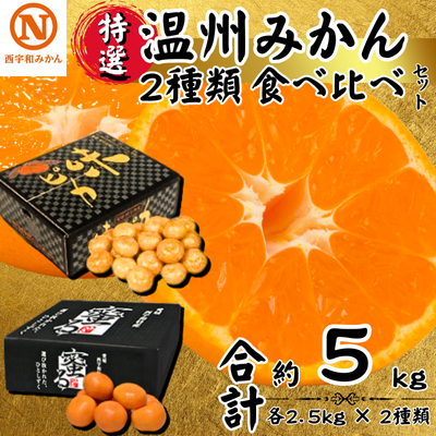 【先行受付】特選温州みかん2種類食べ比べ(味ピカ・蜜る)各2.5kg×2箱【E08-94】 YWTV047