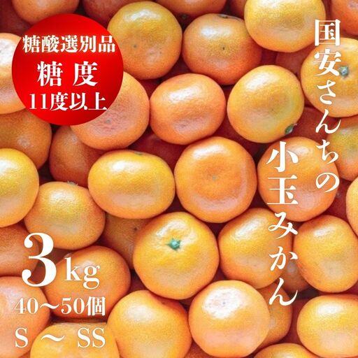 【糖度11度以上 酸1.0以下 糖酸選別品】小玉 愛媛みかん 3kg【C20-57】【1595877】 YWTI052